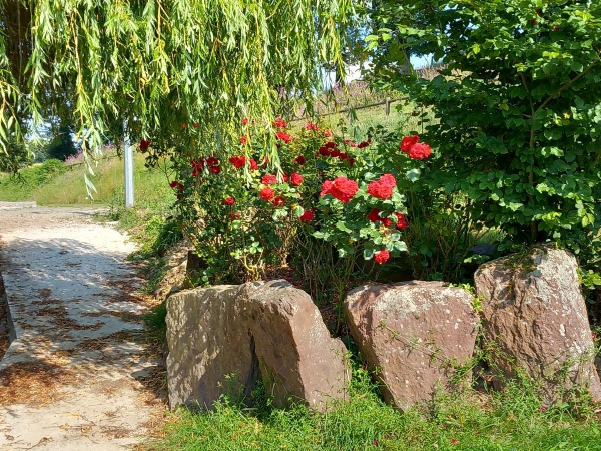 A La Memoire De Merlin & Spa Saint-Malon-sur-Mel Buitenkant foto